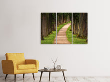 Laden Sie das Bild in den Galerie-Viewer, Leinwandbild 3-teilig Ein Weg im Wald