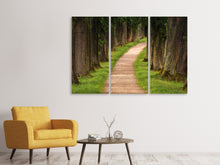Laden Sie das Bild in den Galerie-Viewer, Leinwandbild 3-teilig Ein Weg im Wald