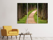 Laden Sie das Bild in den Galerie-Viewer, Leinwandbild 3-teilig Ein Weg im Wald