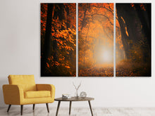 Laden Sie das Bild in den Galerie-Viewer, Leinwandbild 3-teilig Herbstlicht im Wald
