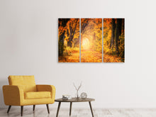 Laden Sie das Bild in den Galerie-Viewer, Leinwandbild 3-teilig Farben prächtiger Wald