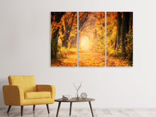 Laden Sie das Bild in den Galerie-Viewer, Leinwandbild 3-teilig Farben prächtiger Wald