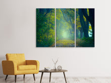 Laden Sie das Bild in den Galerie-Viewer, Leinwandbild 3-teilig Grüner Wald
