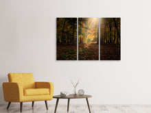 Laden Sie das Bild in den Galerie-Viewer, Leinwandbild 3-teilig Der Laubwald