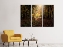Laden Sie das Bild in den Galerie-Viewer, Leinwandbild 3-teilig Der Laubwald