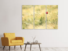 Laden Sie das Bild in den Galerie-Viewer, Leinwandbild 3-teilig Eine Mohnblume