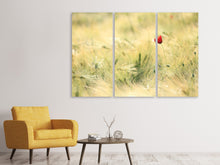 Laden Sie das Bild in den Galerie-Viewer, Leinwandbild 3-teilig Eine Mohnblume