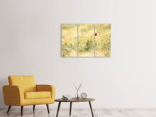 Laden Sie das Bild in den Galerie-Viewer, Leinwandbild 3-teilig Eine Mohnblume