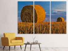 Laden Sie das Bild in den Galerie-Viewer, Leinwandbild 3-teilig Strohballen