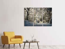 Laden Sie das Bild in den Galerie-Viewer, Leinwandbild 3-teilig Ein Winter Traum