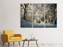 Laden Sie das Bild in den Galerie-Viewer, Leinwandbild 3-teilig Ein Winter Traum