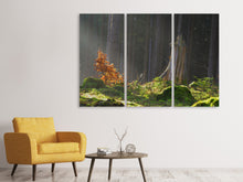Laden Sie das Bild in den Galerie-Viewer, Leinwandbild 3-teilig Der Zauber im Wald