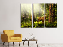 Laden Sie das Bild in den Galerie-Viewer, Leinwandbild 3-teilig Achtung Hirsch