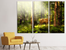 Laden Sie das Bild in den Galerie-Viewer, Leinwandbild 3-teilig Achtung Hirsch