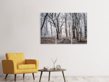 Laden Sie das Bild in den Galerie-Viewer, Leinwandbild 3-teilig Winterlicher Wald
