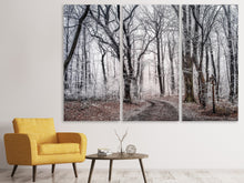 Laden Sie das Bild in den Galerie-Viewer, Leinwandbild 3-teilig Winterlicher Wald