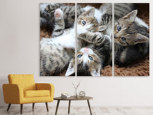 Laden Sie das Bild in den Galerie-Viewer, Leinwandbild 3-teilig Viele Katzenbabys