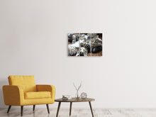 Laden Sie das Bild in den Galerie-Viewer, Leinwandbild 3-teilig Viele Katzenbabys