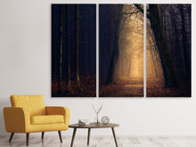 Laden Sie das Bild in den Galerie-Viewer, Leinwandbild 3-teilig Abendstimmung im Wald