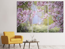Laden Sie das Bild in den Galerie-Viewer, Leinwandbild 3-teilig Im schönen Frühling
