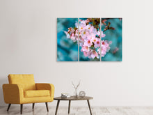 Laden Sie das Bild in den Galerie-Viewer, Leinwandbild 3-teilig Close up Blume