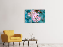 Laden Sie das Bild in den Galerie-Viewer, Leinwandbild 3-teilig Close up Blume