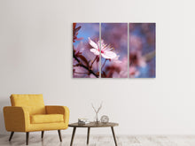 Laden Sie das Bild in den Galerie-Viewer, Leinwandbild 3-teilig Close up Kirschblüte