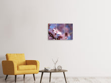Laden Sie das Bild in den Galerie-Viewer, Leinwandbild 3-teilig Close up Kirschblüte