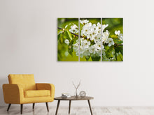 Laden Sie das Bild in den Galerie-Viewer, Leinwandbild 3-teilig Weisse Blüten in XL