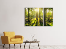Laden Sie das Bild in den Galerie-Viewer, Leinwandbild 3-teilig Mitten im Wald