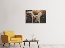 Laden Sie das Bild in den Galerie-Viewer, Leinwandbild 3-teilig Schlafende Katze
