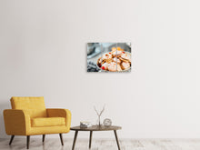 Laden Sie das Bild in den Galerie-Viewer, Leinwandbild 3-teilig Eine Schale Macarons