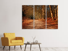 Laden Sie das Bild in den Galerie-Viewer, Leinwandbild 3-teilig Natur im Herbst