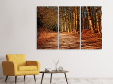 Laden Sie das Bild in den Galerie-Viewer, Leinwandbild 3-teilig Natur im Herbst