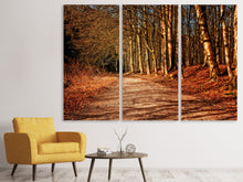 Laden Sie das Bild in den Galerie-Viewer, Leinwandbild 3-teilig Natur im Herbst