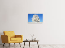 Laden Sie das Bild in den Galerie-Viewer, Leinwandbild 3-teilig Winter Baum