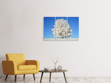 Laden Sie das Bild in den Galerie-Viewer, Leinwandbild 3-teilig Winter Baum