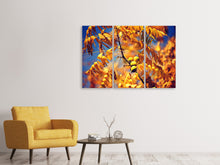 Laden Sie das Bild in den Galerie-Viewer, Leinwandbild 3-teilig Der Nussbaum XL
