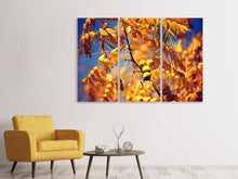 Laden Sie das Bild in den Galerie-Viewer, Leinwandbild 3-teilig Der Nussbaum XL