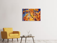 Laden Sie das Bild in den Galerie-Viewer, Leinwandbild 3-teilig Der Nussbaum XL