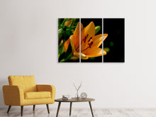 Laden Sie das Bild in den Galerie-Viewer, Leinwandbild 3-teilig Close up Lilie in orange