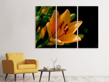 Laden Sie das Bild in den Galerie-Viewer, Leinwandbild 3-teilig Close up Lilie in orange