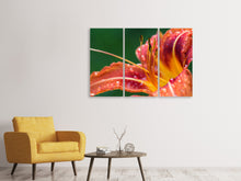 Laden Sie das Bild in den Galerie-Viewer, Leinwandbild 3-teilig XXL Lilie in orange