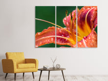 Laden Sie das Bild in den Galerie-Viewer, Leinwandbild 3-teilig XXL Lilie in orange