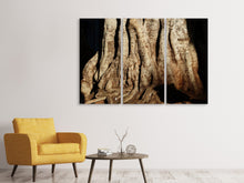 Laden Sie das Bild in den Galerie-Viewer, Leinwandbild 3-teilig Baum Close Up
