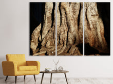 Laden Sie das Bild in den Galerie-Viewer, Leinwandbild 3-teilig Baum Close Up