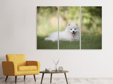 Laden Sie das Bild in den Galerie-Viewer, Leinwandbild 3-teilig Niedliche Spitz Welpe