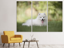 Laden Sie das Bild in den Galerie-Viewer, Leinwandbild 3-teilig Niedliche Spitz Welpe