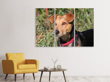 Laden Sie das Bild in den Galerie-Viewer, Leinwandbild 3-teilig Aufmerksamer Hund