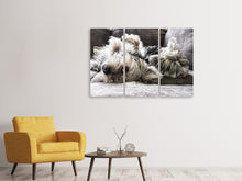 Laden Sie das Bild in den Galerie-Viewer, Leinwandbild 3-teilig 2 niedliche Hunde